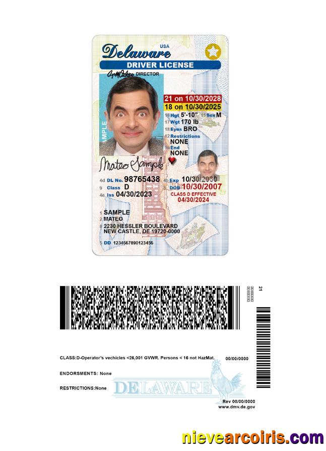 USA Delaware driving license